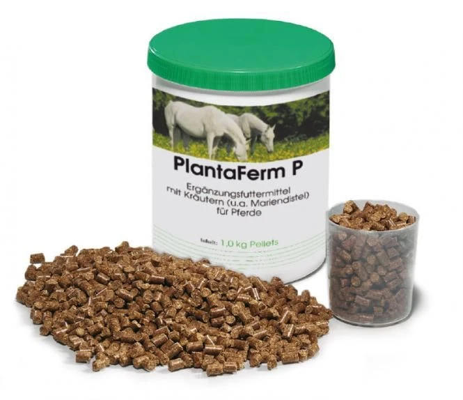 PlantaVet PlantaFerm P Für Pferde 1,2 Kg Pellets Dose Für Pferde 2 PlantaVet PlantaFerm P Für Pferde 1,2 Kg Pellets Dose Für Pferde – Bild 2