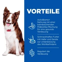 Hills Science Plan Canine Perfect Digestion Adult Medium Trockenfutter Für Hunde 14 Kg Huhn & Reis Trockenfutter -Angebote Specific Store 1MbqEigY9Tip 52742044156 3