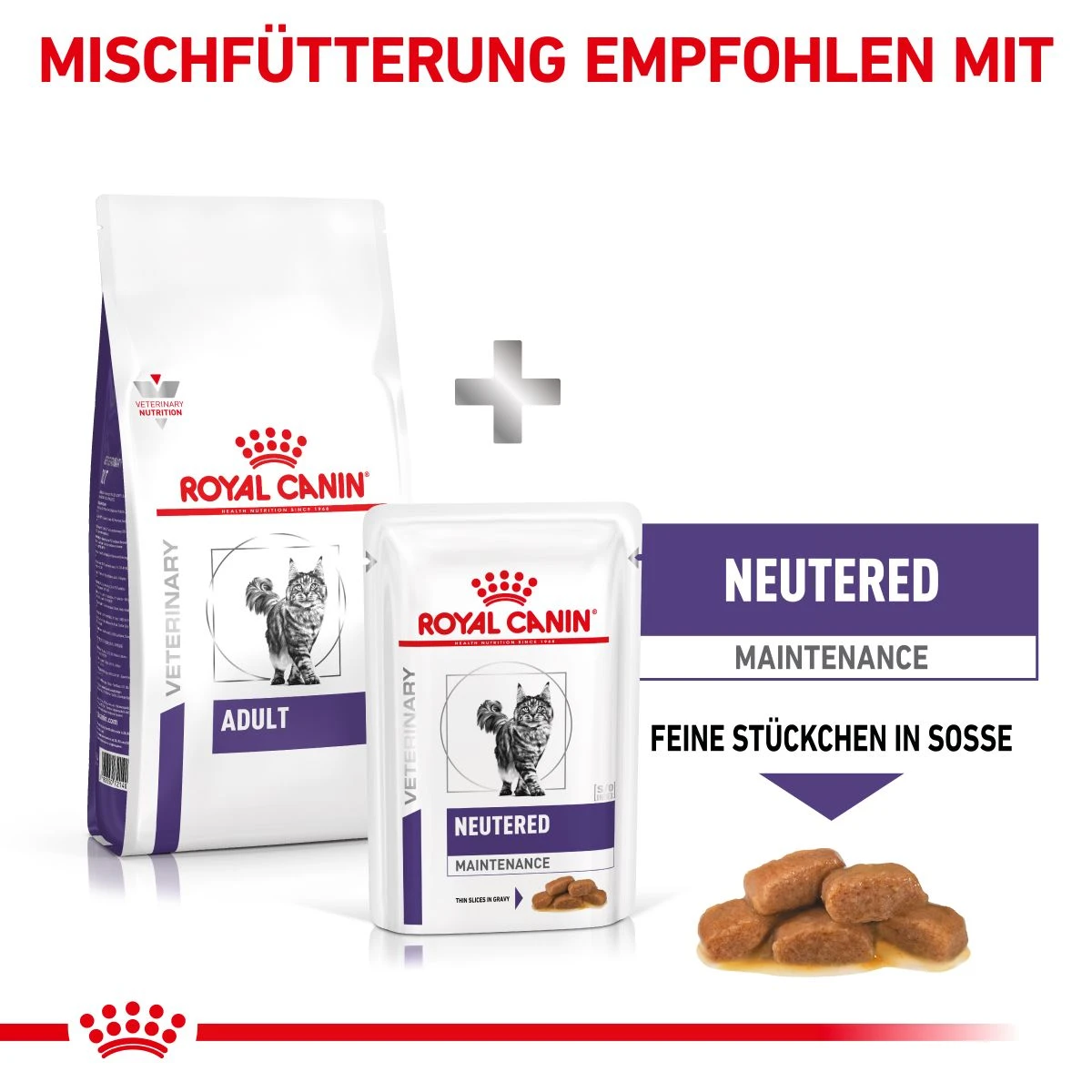 Royal Canin Adult Trockenfutter Für Katzen 2 Kg Trockenfutter Für Katzen 8 Royal Canin Adult Trockenfutter Für Katzen 2 Kg Trockenfutter Für Katzen – Bild 8