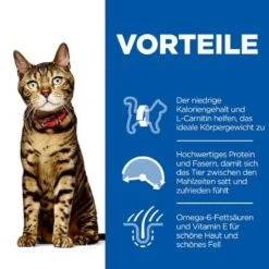 Hills Science Plan Feline Adult Light Huhn Frischebeutel Für Katzen 12 X 85 G Huhn Frischebeutel -Angebote Specific Store 2CpuRduzHywq 52742210803 3