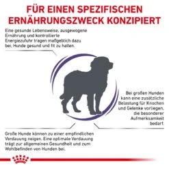 Royal Canin Adult Large Dogs Trockenfutter Für Hunde 13 Kg Trockenfutter Für Hunde -Angebote Specific Store 2GaLpfWhS75z 3182550925105 6587 3