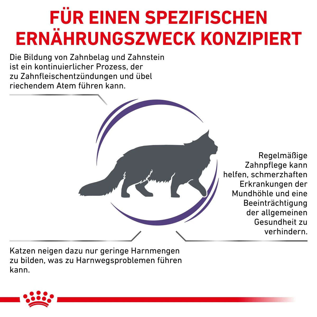 Royal Canin Dental Trockenfutter Für Katzen 1,5 Kg Trockenfutter Für Katzen 8 Royal Canin Dental Trockenfutter Für Katzen 1,5 Kg Trockenfutter Für Katzen – Bild 8