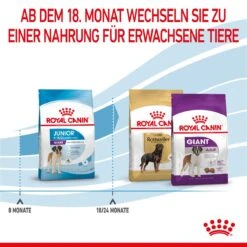 Royal Canin Giant Junior Welpenfutter Für Sehr Große Hunde 15 Kg Trockenfutter Für Hunde -Angebote Specific Store 2zHWgrNRQRhE 3182550707077 3085 6