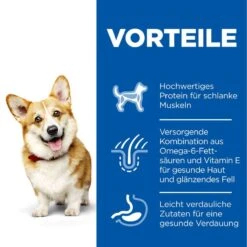 Hills Science Plan Canine Hund Adult Small & Mini Trockenfutter 6 Kg Trockenfutter Für Hunde -Angebote Specific Store 4xhksq7T5cjb 52742024769 3