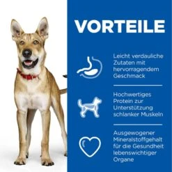 Hills Science Plan Canine Adult Performance Huhn Trockenfutter Für Hunde 14 Kg Trockenfutter 5 Hills Science Plan Canine Adult Performance Huhn Trockenfutter Für Hunde 14 Kg Trockenfutter -Angebote Specific Store 56YNreDWxr4Y 52742026114 3