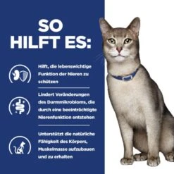 Hills K/d Ragout In Dosen Für Katzen 24 X 82 G Ragout In Dosen Für Katzen -Angebote Specific Store 5InG4QaYk5bk 52742021607 5