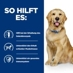 Hills J/d Trockenfutter Für Hunde 1,5 Trockenfutter Für Hunde -Angebote Specific Store 5QAG7019E6n6 52742918303 4