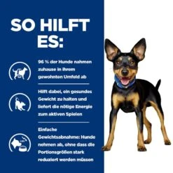 Hills Canine Metabolic Mini Ragout In Dosen Für Hunde 24 X 156g Ragout In Dosen -Angebote Specific Store 5yeOSFzZKg8n 52742047331 4