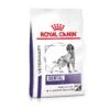 Royal Canin Dental Medium & Large Dogs Trockenfutter Für Hunde 6 Kg Trockenfutter Für Hunde