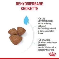 Royal Canin Mini Starter Trockenfutter 4 Kg Trockenfutter 15 Royal Canin Mini Starter Trockenfutter 4 Kg Trockenfutter -Angebote Specific Store 7CbokL7nJ8fJ 3182550932707 2504 5