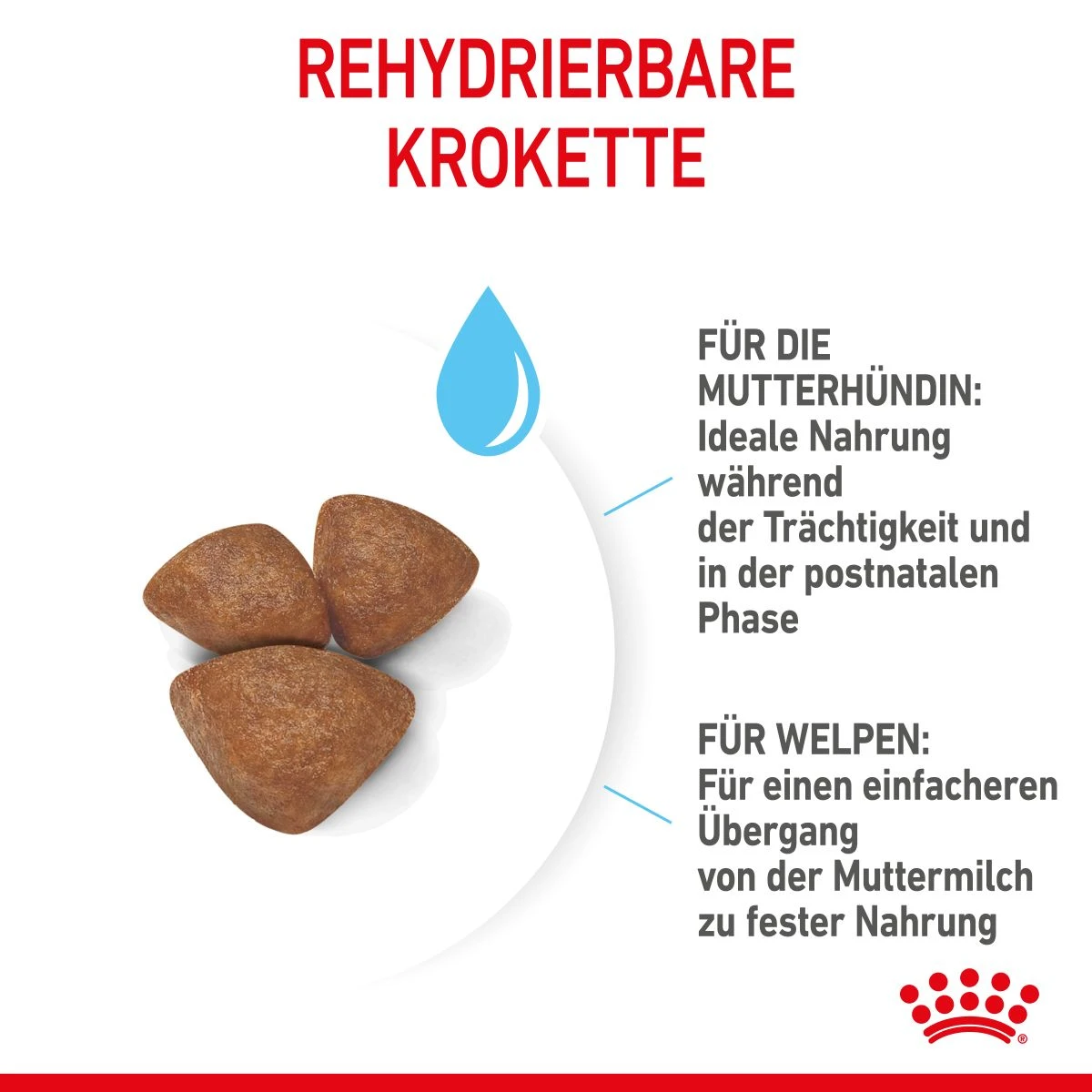 Royal Canin Mini Starter Trockenfutter 4 Kg Trockenfutter 6 Royal Canin Mini Starter Trockenfutter 4 Kg Trockenfutter – Bild 6