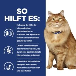 Hills K/d + Mobility Trockenfutter Für Katzen 1,5 Kg Trockenfutter Für Katzen 17 Hills K/d + Mobility Trockenfutter Für Katzen 1,5 Kg Trockenfutter Für Katzen -Angebote Specific Store 7ufW5ljPpriZ 52742049991 5