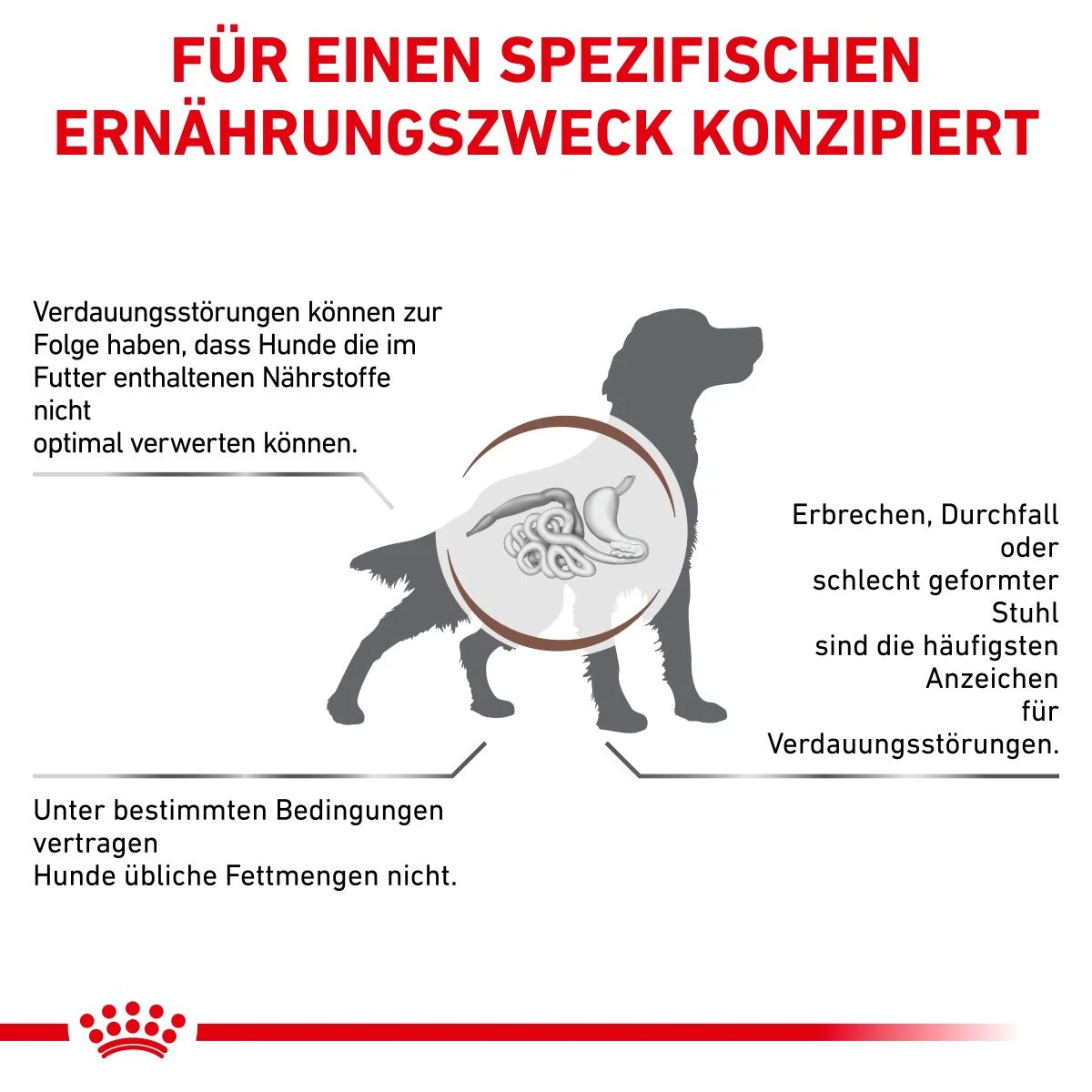 Royal Canin Gastrointestinal Low Fat Trockenfutter Für Hunde 1,5 Kg Trockenfutter Für Hunde 2 Royal Canin Gastrointestinal Low Fat Trockenfutter Für Hunde 1,5 Kg Trockenfutter Für Hunde – Bild 2