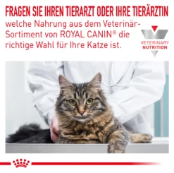 Royal Canin Skin & Coat Trockenfutter Für Katzen 1,5 Kg Trockenfutter Für Katzen 11 Royal Canin Skin & Coat Trockenfutter Für Katzen 1,5 Kg Trockenfutter Für Katzen -Angebote Specific Store 8uW0xrBPMj06 3182550939188 5493 3