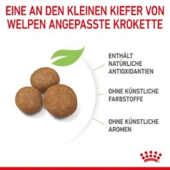 Royal Canin Maxi Puppy Für Welpen Großer Rassen 4 Kg Trockenfutter Für Hunde -Angebote Specific Store AQ7yIdjnvTS7 3182550402163 3005 5