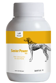 VetVital Vicano Senior Power Tabs Für ältere Hunde 150 Tabletten Dose Für Hunde