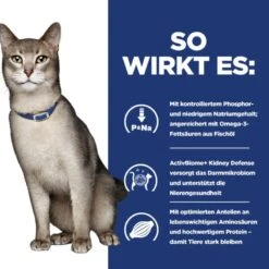 Hills K/d Katze Dosenfutter Bei Nierenerkrankungen 24 X 156 G Feingehackt - Huhn Dosen -Angebote Specific Store BRedIBQaP6hY 52742048833 4
