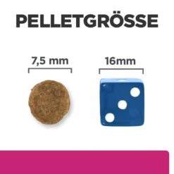 Hills Prescription Diet Canine Gastrointestinal Biome Mini Trockenfutter Für Hunde 1 Kg Trockenfutter Für Hunde -Angebote Specific Store CdG2hUTE5je9 52742047416 5