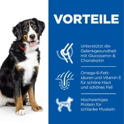Hills Science Plan Canine Adult Large Breed Hund Trockenfutter 14 Kg Trockenfutter Mit Huhn -Angebote Specific Store Ct4dIWMvScjv 52742121109 3