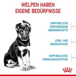 Royal Canin Maxi Puppy Für Welpen Großer Rassen 4 Kg Trockenfutter Für Hunde -Angebote Specific Store DCuXITVIJ5kZ 3182550402163 3005 3