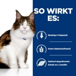 Hills Feline W/d Multi-Benefit Dosenfutter Für Katzen 24 X 156 G Feingehackt - Huhn In Dosen -Angebote Specific Store DMpwt0szaWZ7 52742945507 3