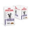Royal Canin Mature Consult Katze Frischebeutel 12 X 85 G Frischebeutel Für Katzen