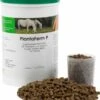 PlantaVet PlantaFerm P Für Pferde 1,2 Kg Pellets Dose Für Pferde