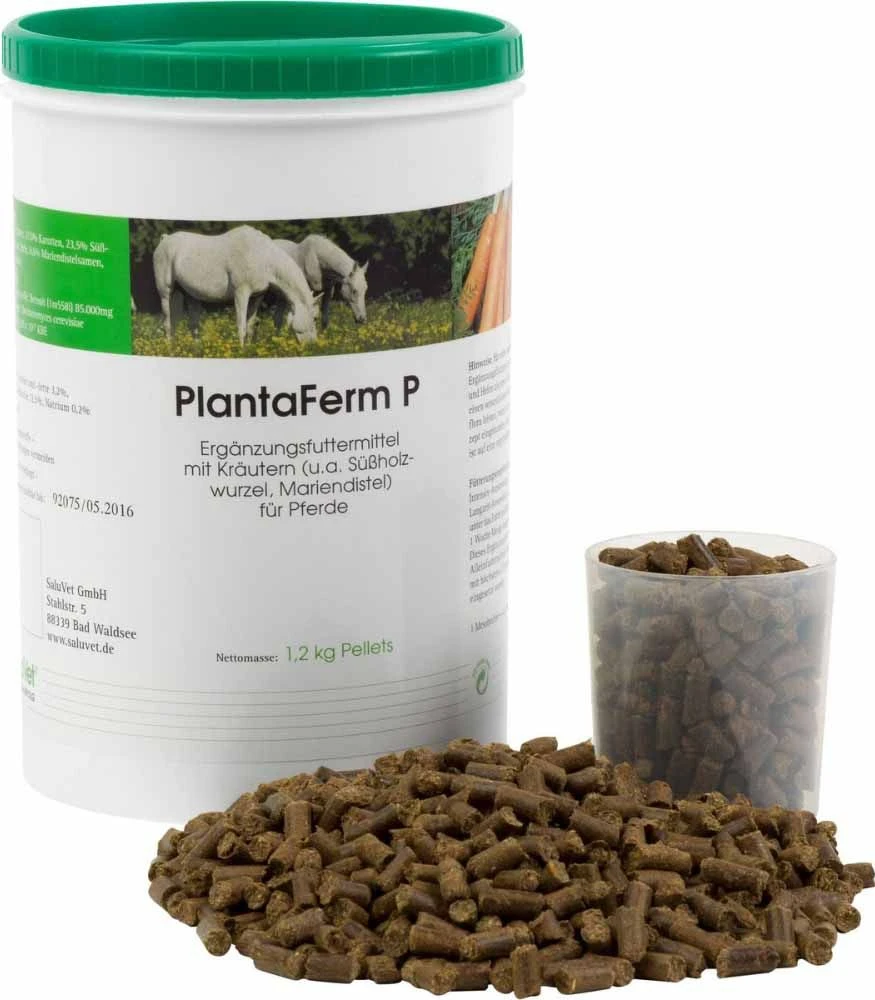 PlantaVet PlantaFerm P Für Pferde 1,2 Kg Pellets Dose Für Pferde 1 PlantaVet PlantaFerm P Für Pferde 1,2 Kg Pellets Dose Für Pferde
