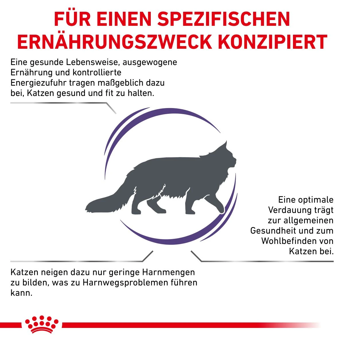 Royal Canin Adult Trockenfutter Für Katzen 2 Kg Trockenfutter Für Katzen 3 Royal Canin Adult Trockenfutter Für Katzen 2 Kg Trockenfutter Für Katzen – Bild 3