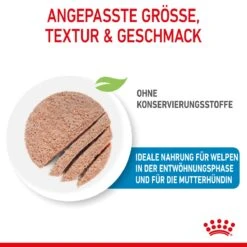 Royal Canin Starter Ultra Soft Mousse Für Welpen 12 X 195 G -Angebote Specific Store DzSABroMWOqm 9003579020036 4300 3