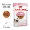 Royal Canin Kitten Second Age Für Kätzchen Bis Zum 12. Monat 12 X 85 G In Soße Frischebeutel