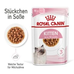 Royal Canin Kitten Second Age Für Kätzchen Bis Zum 12. Monat 12 X 85 G In Soße Frischebeutel