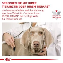 Royal Canin Adult Large Dogs Trockenfutter Für Hunde 13 Kg Trockenfutter Für Hunde -Angebote Specific Store FDoCzklSiDEi 3182550925105 6587 9