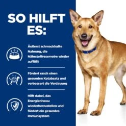 Hills I/d Dosenfutter Für Hunde 12 X 360 G Dosenfutter Mit ActivBiome+ Truthahn Für Hunde -Angebote Specific Store FyzxeyxwMfOp 52742053028 4