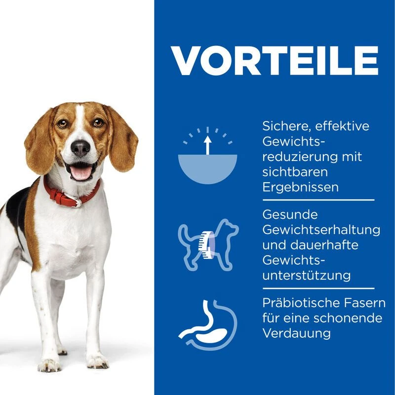 Hills Science Plan Canine Adult Perfect Weight Ragout Dosenfutter 12 X 363 G Ragout Mit Huhn Und Gemüse 3 Hills Science Plan Canine Adult Perfect Weight Ragout Dosenfutter 12 X 363 G Ragout Mit Huhn Und Gemüse – Bild 3