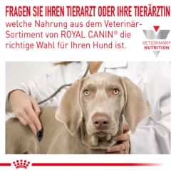 Royal Canin Skin Care Small Dogs Trockenfutter 2 Kg Trockenfutter Für Hunde -Angebote Specific Store GzZ8K0QUkKpX 3182550940351 5474 3