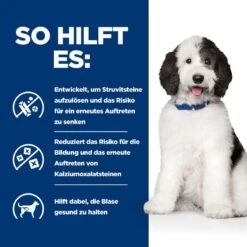 Hills Urinary Care C/d Multicare Trockenfutter Für Hunde 1,5 Kg Trockenfutter Für Hunde -Angebote Specific Store IAJMsAlwJ8mc 52742052144 4