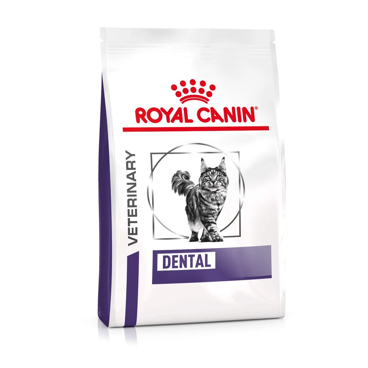 Royal Canin Dental Trockenfutter Für Katzen 1,5 Kg Trockenfutter Für Katzen 1 Royal Canin Dental Trockenfutter Für Katzen 1,5 Kg Trockenfutter Für Katzen