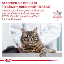Royal Canin Cat Neutered Balance Frischebeutel 12 X 85 G Frischebeutel Für Katzen -Angebote Specific Store Id5zb55D8gB4 9003579015643 4036 9