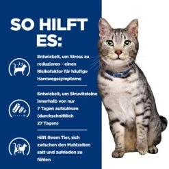 Hills Prescription Diet Feline C/d Multicare Urinary Stress + Metabolic Trockenfutter Für Katzen 1,5 Kg Trockenfutter Für Katzen 10 Hills Prescription Diet Feline C/d Multicare Urinary Stress + Metabolic Trockenfutter Für Katzen 1,5 Kg Trockenfutter Für Katzen -Angebote Specific Store KrmdWBQr3qkQ 52742043814 4