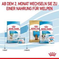 Royal Canin Mini Starter Trockenfutter 4 Kg Trockenfutter 16 Royal Canin Mini Starter Trockenfutter 4 Kg Trockenfutter -Angebote Specific Store KzdYqYx8xEMe 3182550932707 2504 6