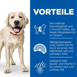 Hills Science Plan Canine Light Adult Large Breed Mit Huhn Trockenfutter 14 Kg Trockenfutter -Angebote Specific Store LKnwbeDWS4bt 52742025902 3