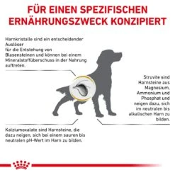 Royal Canin Urinary S/O Trockenfutter Für Hunde 2 Kg Trockenfutter Für Hunde 17 Royal Canin Urinary S/O Trockenfutter Für Hunde 2 Kg Trockenfutter Für Hunde -Angebote Specific Store LLNZrt4ZmSrp 3182550896856 298 9