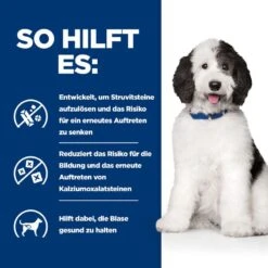 Hills Urinary Care C/d Multicare Ragout In Dosen Für Hunde 12 X 354 G Dosenfutter Für Hunde -Angebote Specific Store LcjiTmbYQo0n 52742021324 4
