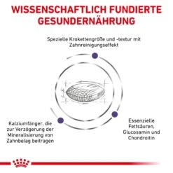 Royal Canin Dental Medium & Large Dogs Trockenfutter Für Hunde 6 Kg Trockenfutter Für Hunde -Angebote Specific Store LreIObweoSPj 3182550925310 328 4