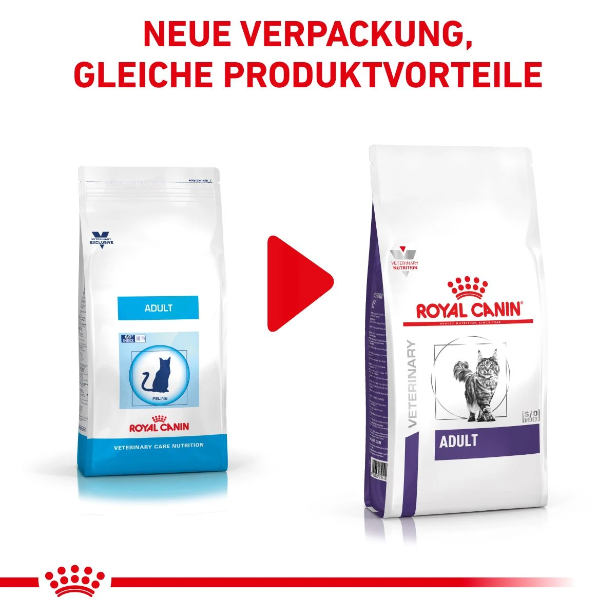 Royal Canin Adult Trockenfutter Für Katzen 2 Kg Trockenfutter Für Katzen 2 Royal Canin Adult Trockenfutter Für Katzen 2 Kg Trockenfutter Für Katzen – Bild 2