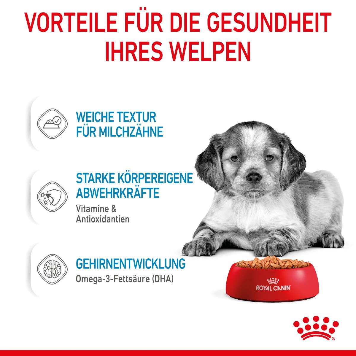 Royal Canin Medium Puppy Frischebeutel 10 X 140 G Frischebeutel Für Hunde 3 Royal Canin Medium Puppy Frischebeutel 10 X 140 G Frischebeutel Für Hunde – Bild 3