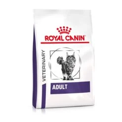 Royal Canin Adult Trockenfutter Für Katzen 2 Kg Trockenfutter Für Katzen