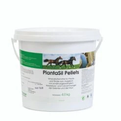 PlantaVet PlantaSil Hund Pferd Ziervögel 1 Kg Pulver Dose