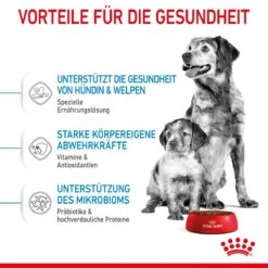 Royal Canin Medium Starter Trockenfutter 15 Kg Trockenfutter Für Hunde -Angebote Specific Store QR192y0rQSEp 3182550932714 2515 4